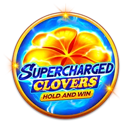 win333 bingo brasil cassino livre